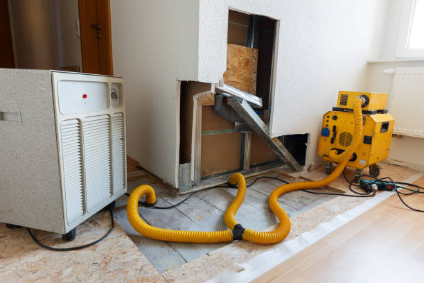 Best Mold Documentation for Insurance Claims  in Valdosta, GA
